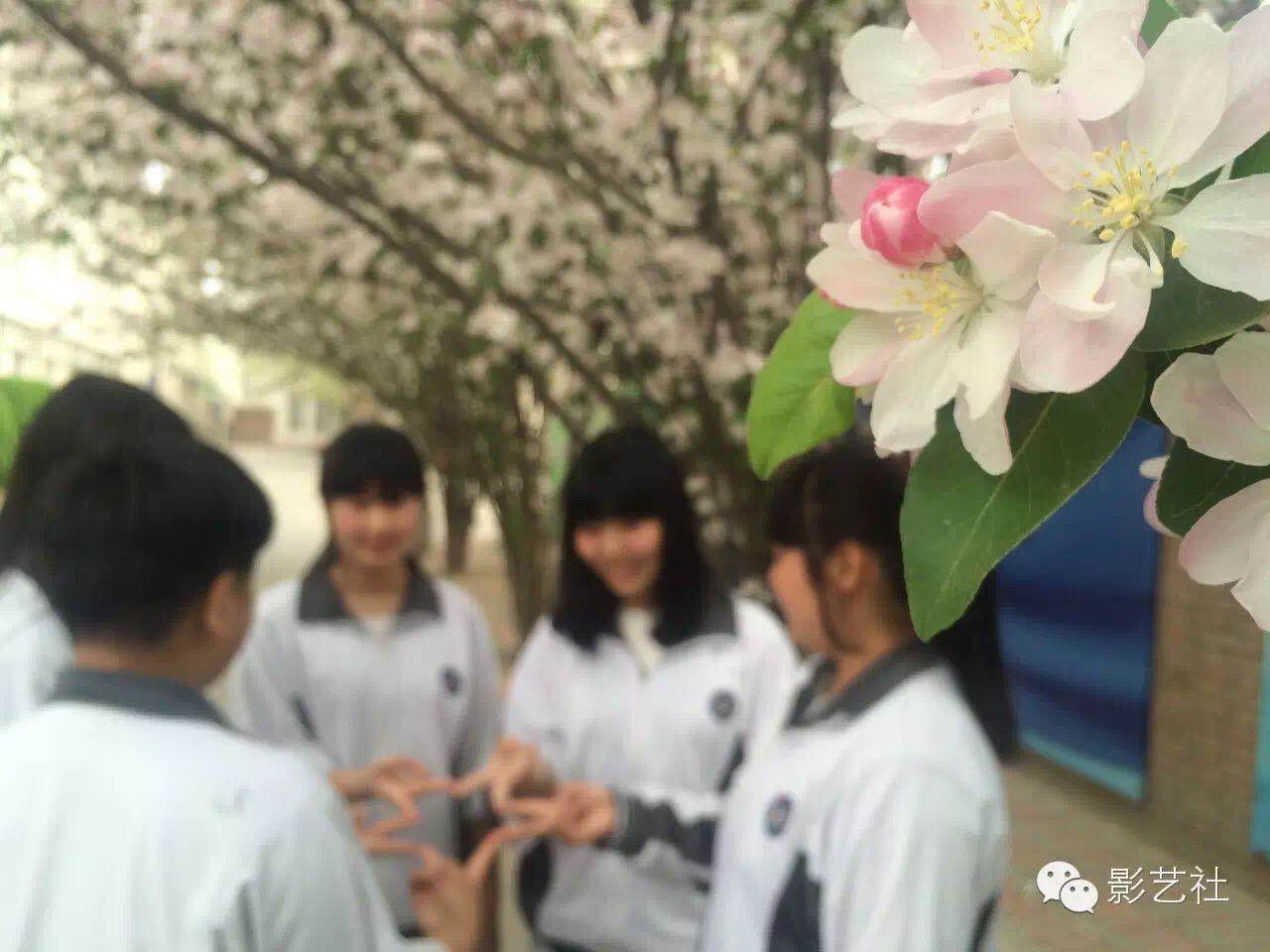 征集令 “却共海棠花有约,青春绽放新时代” 经贸学校海棠季摄影绘画比赛启动啦!(图2) 征集令 “却共海棠花有约,青春绽放新时代” 经贸学校海棠季摄影绘画比赛启动啦!(图2)